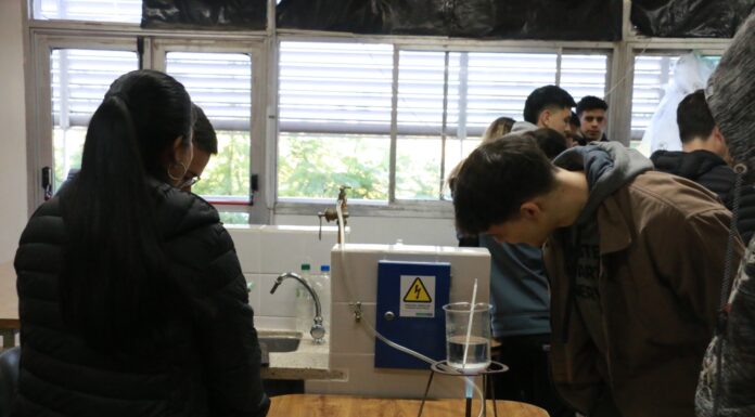 «Experiencia STEAM», escuelas de 12 localidades de Corrientes participan en una innovadora propuesta de formación
