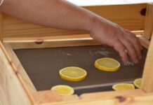 Kuaray: ingenieros de la UNNE desarrollan un secadero solar para conservar frutas y hortalizas de pequeños productores