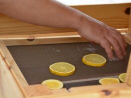 Kuaray: ingenieros de la UNNE desarrollan un secadero solar para conservar frutas y hortalizas de pequeños productores