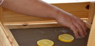 EXTENSIÓN UNIVERSITARIA Kuaray: ingenieros de la UNNE desarrollan un secadero solar para conservar frutas y hortalizas de pequeños productores