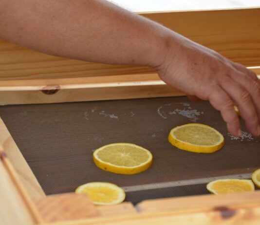 Kuaray: ingenieros de la UNNE desarrollan un secadero solar para conservar frutas y hortalizas de pequeños productores