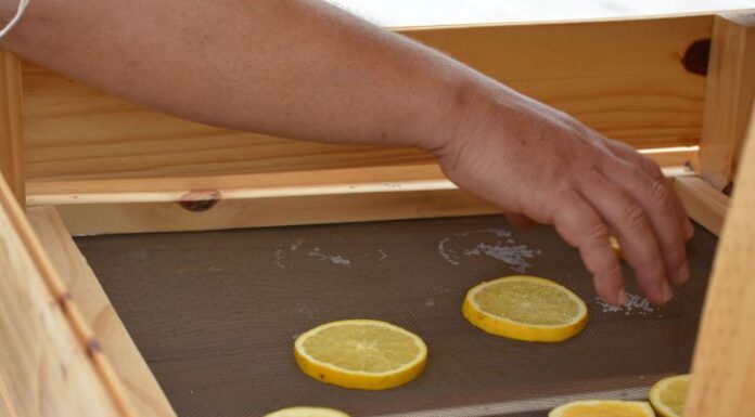 Kuaray: ingenieros de la UNNE desarrollan un secadero solar para conservar frutas y hortalizas de pequeños productores