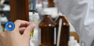 El Consejo Superior de la UNNE aprobó la creación de la carrera de Farmacia