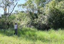 Restauración ecológica: una ciencia novedosa sobre la que buscan profundizar conocimientos