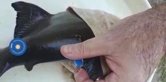 Lanzan UNNE Ciudadana para promover la vinculación entre científicos y vecinos