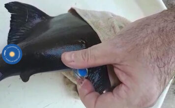 Lanzan UNNE Ciudadana para promover la vinculación entre científicos y vecinos