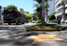 COMPROMISO SOCIAL Seguridad Vial: la UNNE dictará un seminario para infractores de tránsito y personas en condición de Probation