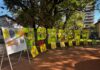 Día Mundial del Ambiente: variadas propuestas en el marco de la Semana Verde
