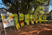 Día Mundial del Ambiente: variadas propuestas en el marco de la Semana Verde