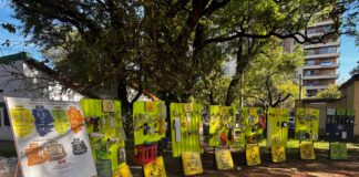 EN CORRIENTES Y RESISTENCIA Día Mundial del Ambiente: variadas propuestas en el marco de la Semana Verde