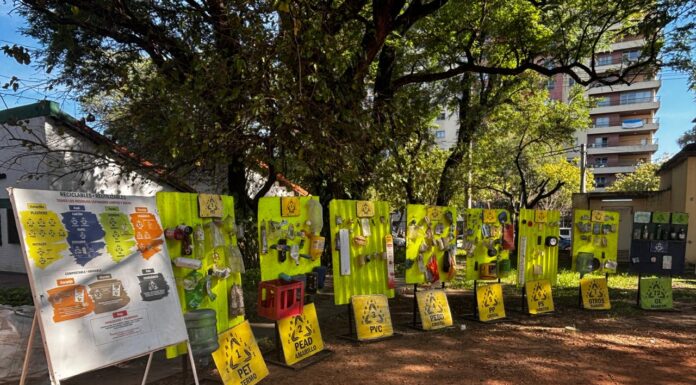 Día Mundial del Ambiente: variadas propuestas en el marco de la Semana Verde