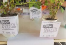 Por un mundo sustentable, vuelve la Semana Verde a la UNNE