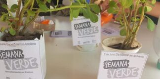 DIA MUNDIAL DEL MEDIO AMBIENTE Por un mundo sustentable, vuelve la Semana Verde a la UNNE