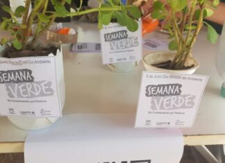 DIA MUNDIAL DEL MEDIO AMBIENTE Por un mundo sustentable, se realiza la Semana Verde a la UNNE