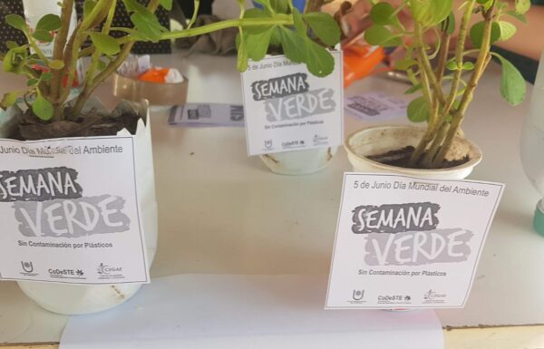 Por un mundo sustentable, vuelve la Semana Verde a la UNNE