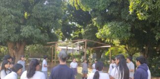 CAMBIO CLIMATICO Vivero y educación ambiental: proyecto de extensión impulsa un arbolado urbano con especies nativas El proyecto contempla además dos líneas de trabajo complementarias: el reciclado de residuos orgánicos de la escuela a través de un sistema de compostaje, y el desarrollo de un vivero de árboles de especies nativas para su posterior plantado en el casco urbano.