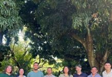 Vivero y educación ambiental: proyecto de extensión impulsa un arbolado urbano con especies nativas