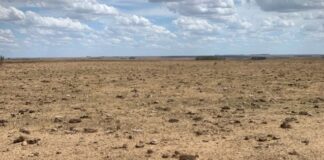 TAMBIÉN DESTACAN EL ALCANCE TERRITORIAL Sequía: aseguran que lo llamativo no fue tanto la extensión temporal sino la intensidad del déficit de precipitaciones