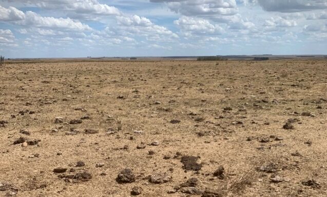 TAMBIÉN DESTACAN EL ALCANCE TERRITORIAL Sequía: aseguran que lo llamativo no fue tanto la extensión temporal sino la intensidad del déficit de precipitaciones