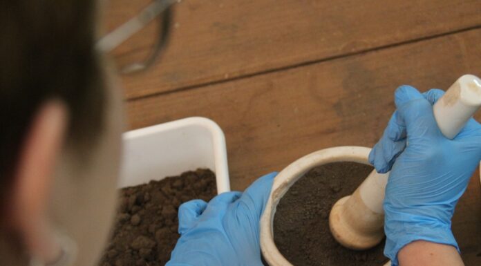 SERVICIOS DESDE LA UNNE Estudios de suelos y foliares, claves para optimizar rendimientos y cuidar el ambiente