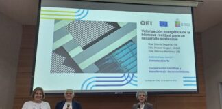 Investigación Investigadora expuso en Chile trabajo sobre el valor energético de la biomasa residual