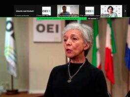 La UNNE aporta conocimiento en foro internacional sobre transición energética