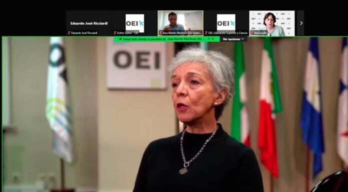 ENERGÍA TÉRMICA SOLAR La UNNE aporta conocimiento en foro internacional sobre transición energética