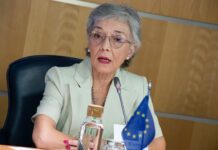 INVESTIGACIÓN Investigadora de la UNNE participó en Madrid de reunión de expertas que abordarán la transición energética