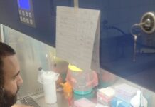 PROYECTO DE UNNE Y UBA Con herramientas de bioinformática, buscan aportar a la vigilancia epidemiológica del cólera en América Latina