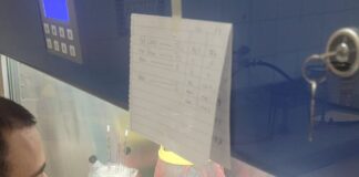 PROYECTO DE UNNE Y UBA Con herramientas de bioinformática, buscan aportar a la vigilancia epidemiológica del cólera en América Latina