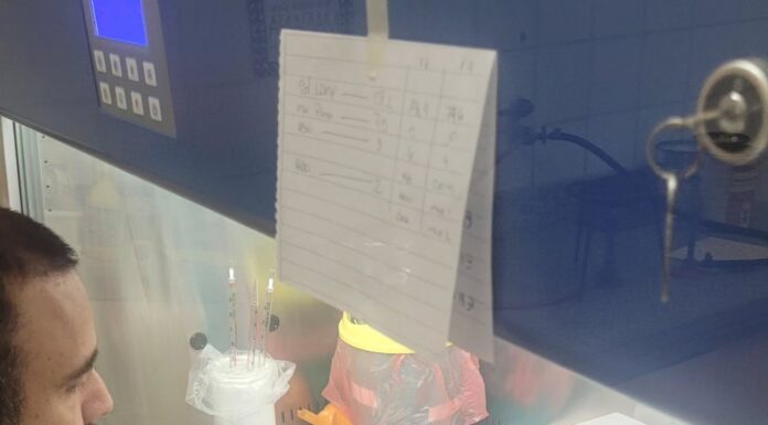 PROYECTO DE UNNE Y UBA Con herramientas de bioinformática, buscan aportar a la vigilancia epidemiológica del cólera en América Latina