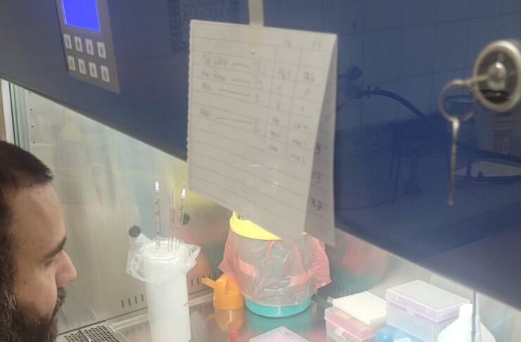 Con herramientas de bioinformática, buscan aportar a la vigilancia epidemiológica del cólera en América Latina