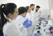 Formación Profesional Veterinaria: exitoso taller sobre resistencia antimicrobiana con enfoque práctico y colaborativo