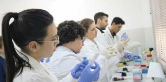 Formación Profesional Veterinaria: exitoso taller sobre resistencia antimicrobiana con enfoque práctico y colaborativo