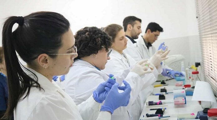 Formación Profesional Veterinaria: exitoso taller sobre resistencia antimicrobiana con enfoque práctico y colaborativo