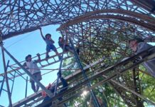 SE UTILIZARÁN ESPECIES DEL NEA La UNNE se integra a una innovadora propuesta de promoción del uso del bambú en construcciones