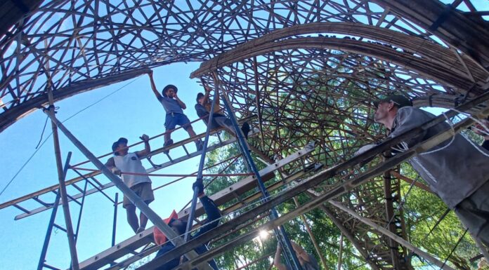 SE UTILIZARÁN ESPECIES DEL NEA La UNNE se integra a una innovadora propuesta de promoción del uso del bambú en construcciones