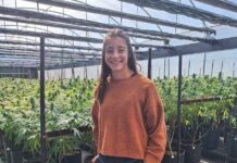 Una investigación veterinaria busca respuestas en la relación cannabis-sistema nervioso