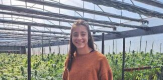 Una investigación veterinaria busca respuestas en la relación cannabis-sistema nervioso