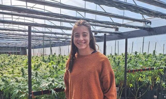 Una investigación veterinaria busca respuestas en la relación cannabis-sistema nervioso