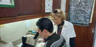 NUEVOS CONOCIMIENTOS Estudian la caracterización microestructural de la lengua en un grupo de lagartos gecónidos