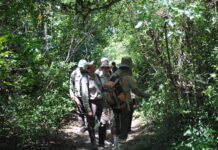 Proyecto de UNNE + Salud Exactas: trabajan en la sostenibilidad del bosque nativo urbano de la empresa TIPOITI