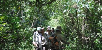 UNIVERSIDAD - EMPRESA - ESTADO Proyecto de UNNE + Salud Exactas: trabajan en la sostenibilidad del bosque nativo urbano de la empresa TIPOITI
