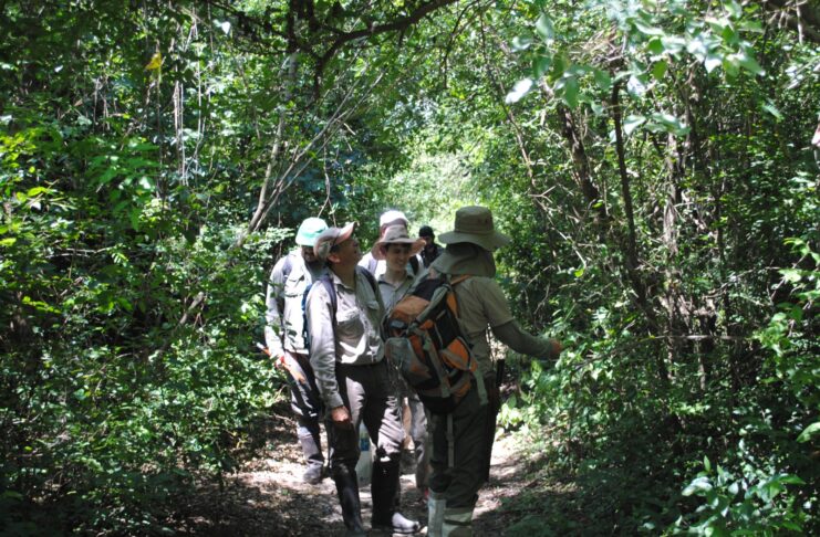 Proyecto de UNNE + Salud Exactas: trabajan en la sostenibilidad del bosque nativo urbano de la empresa TIPOITI