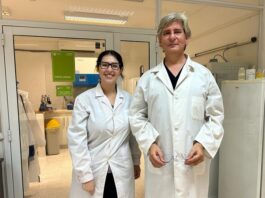Ensayan en ratones la eficacia antiinflamatoria y anticancerígena de especies autóctonas del Iberá