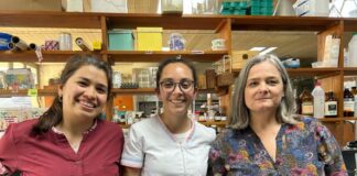 NUEVOS CONOCIMIENTOS  Aislaron compuestos bioactivos con potencial antidiabético a partir de harina de sorgo del NEA