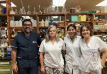 Nuevos Conocimientos Buscan propiedades antimicrobianas en dos plantas utilizadas por la medicina tradicional