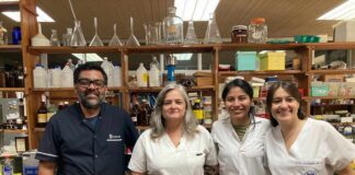 Nuevos Conocimientos Buscan propiedades antimicrobianas en dos plantas utilizadas por la medicina tradicional