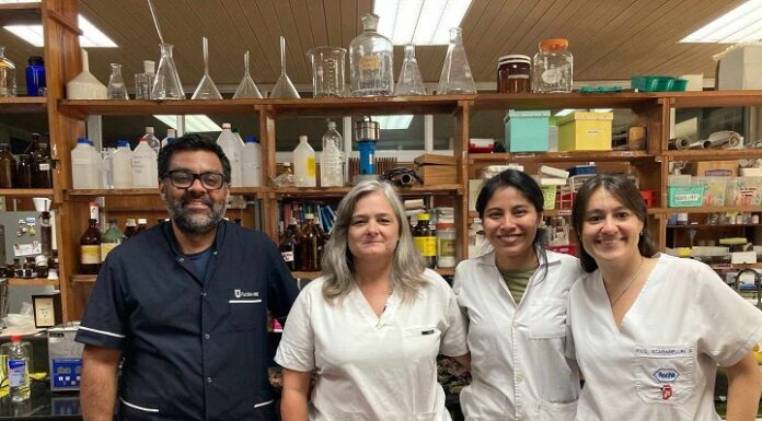Nuevos Conocimientos Buscan propiedades antimicrobianas en dos plantas utilizadas por la medicina tradicional