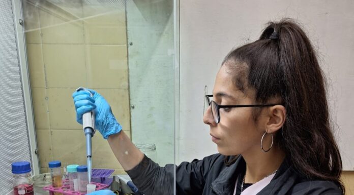 MENCIÓN ESPECIAL Distinguen a nivel nacional un estudio sobre plantas tóxicas con participación de UNNE